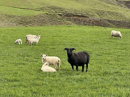 Freya Farm