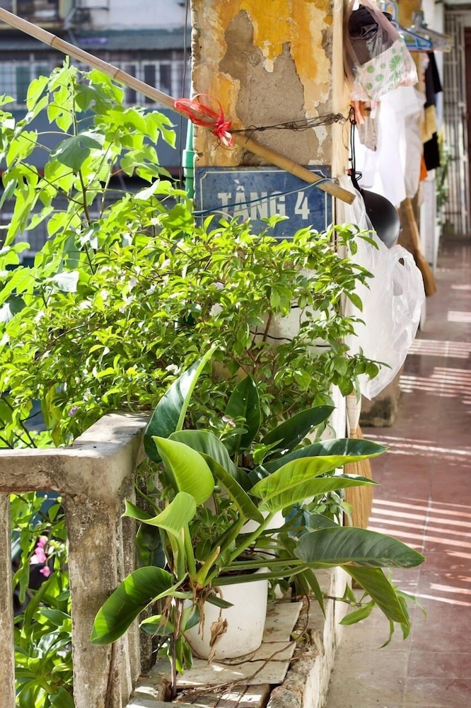 Ngoc Ha