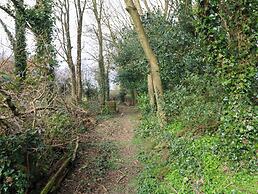 Beech Lodge