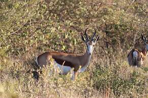 Omukuyu Wildlife Lodge