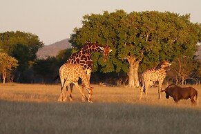 Omukuyu Wildlife Lodge