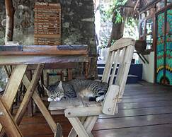 CASA MARIMBA