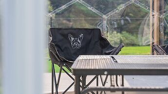 Taean Aloha Oe Pet Pool Villa