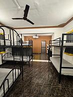 Lost Paradise A Social Hostel