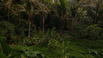 Bali Secret Jungle
