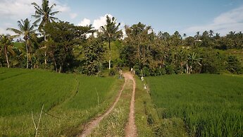 Bali Secret Jungle