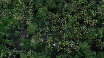 Bali Secret Jungle