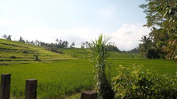 Bali Secret Jungle
