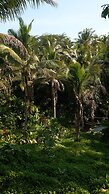 Bali Secret Jungle