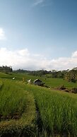 Bali Secret Jungle