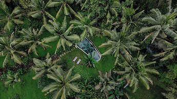 Bali Secret Jungle