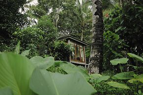 Bali Secret Jungle