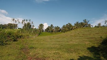 Bali Secret Jungle