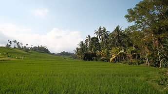 Bali Secret Jungle