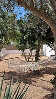Ibiza Sunshine Hideaway