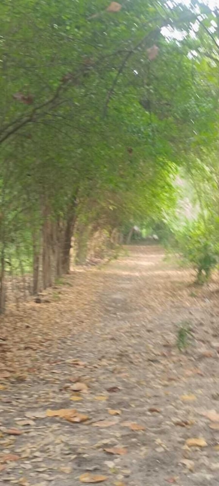 LAS CASCADAS HOSTEL TAYRONA