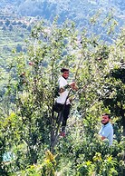 OmVilla With Mountain View