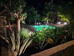 Bamboo Grove Lodge