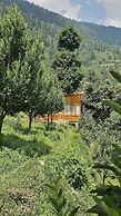 Ruhaani Cottages And Cafe