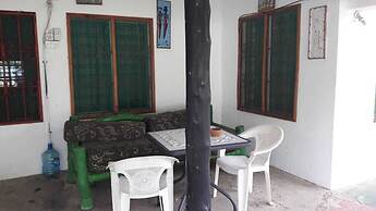The New Big Tree Beach Resort