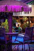Arenal Hostel Resort