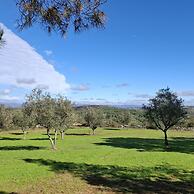 Rustic Terrace2 Bedrooms Farm House