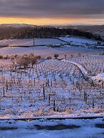 Five Sabrosa Senses