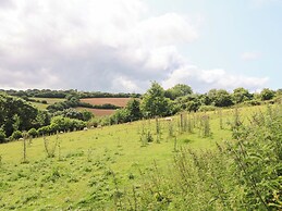The Cow Shed