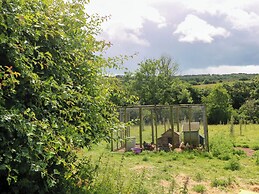 The Cow Shed