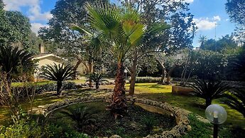 La Pineta