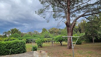 La Pineta