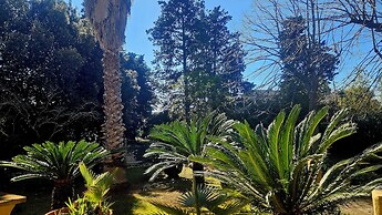 La Pineta