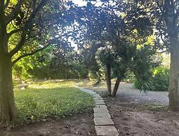 La Pineta