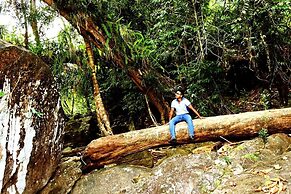 Makeliya Jungle & Waterfall Tour