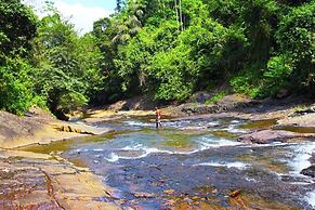 Makeliya Jungle & Waterfall Tour