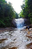 Makeliya Jungle & Waterfall Tour