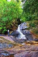 Makeliya Jungle & Waterfall Tour