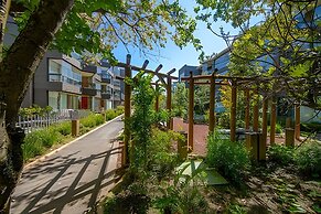 AS - Origen Focus 01
