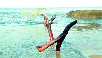 Renai Kappad Beach Resort