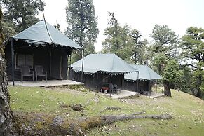 The Little Pahadi