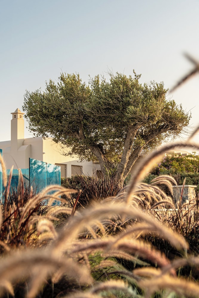 Nilea Island Living