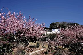 KIRI NO KAHORI SAKURA