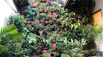 Huma Yogyakarta Hostel