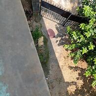 Brahmaputra Homestay
