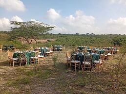 Esidai by Camp David