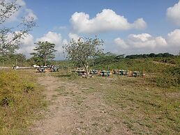 Esidai by Camp David