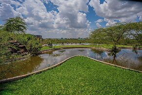 Esidai by Camp David