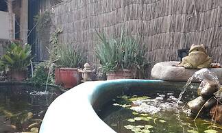 Casa Niwa Koi Entre Peces