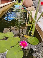 Casa Niwa Koi Entre Peces