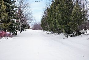 Snowbridge